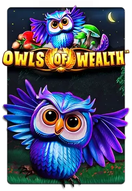 Joacă Owls of Wealth