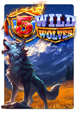 Joacă 5 Wild Wolves
