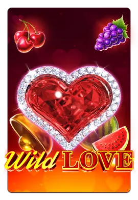 Joacă Wild Love