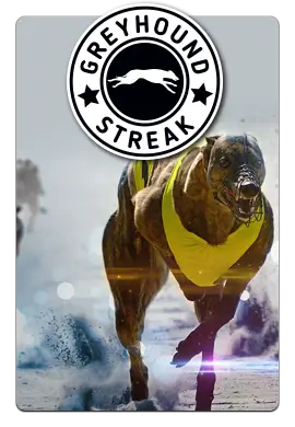 Joacă Greyhound Streak