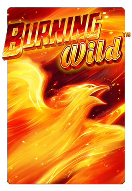 Joacă Burning Wild