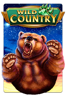Joacă Wild Country