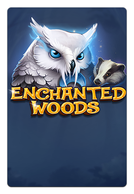 Joacă Enchanted Woods