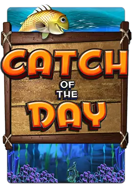 Joacă CATCH OF THE DAY
